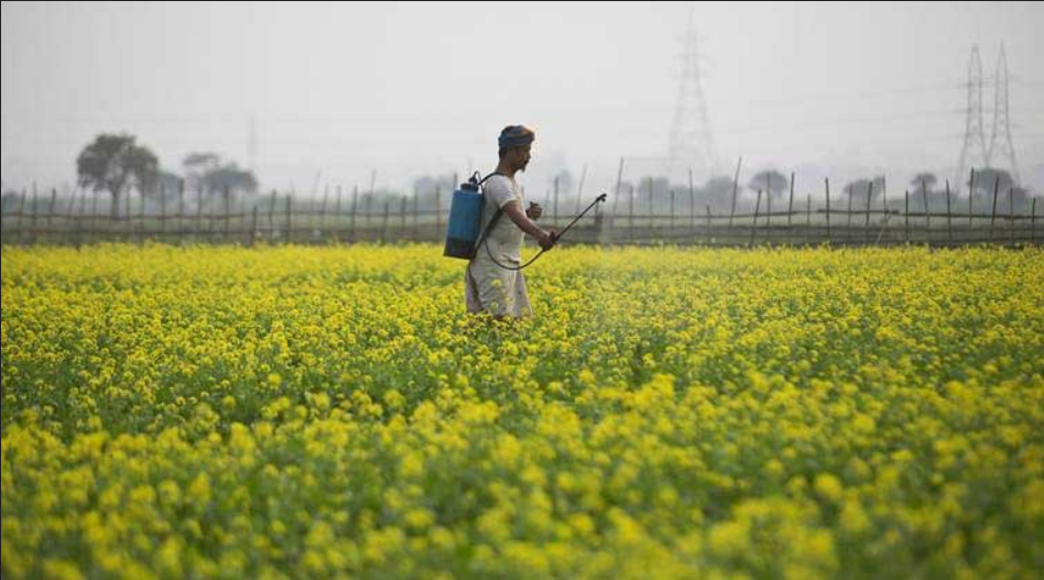 RSS affiliate objects to clauses in Pesticide Management Bill, says they give ‘unwarranted advantage to MNCs’